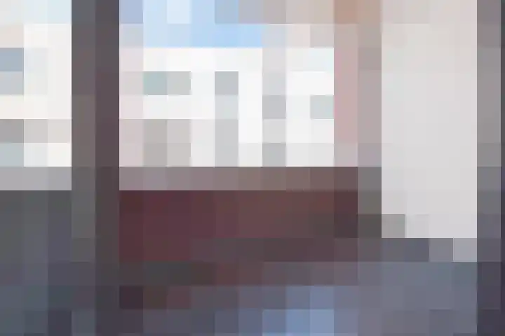 Baak van Herkingen 96 Amersfoort thumbnail 27
