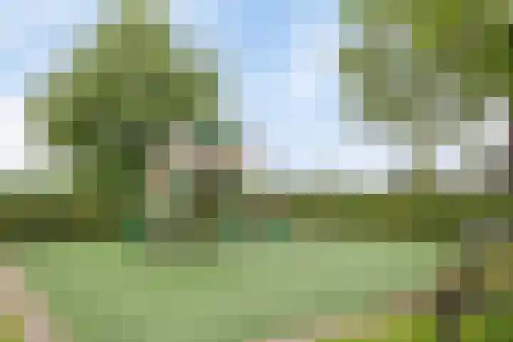 Baak van Herkingen 96 Amersfoort thumbnail 30