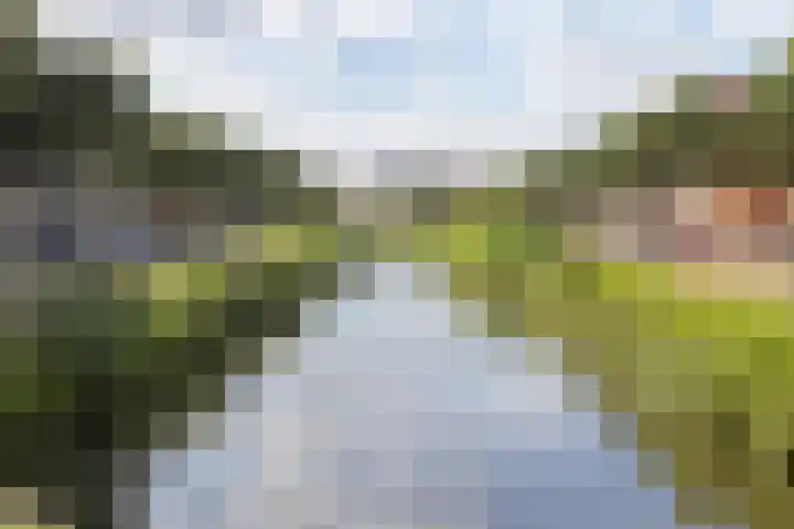 Baak van Herkingen 96 Amersfoort thumbnail 31