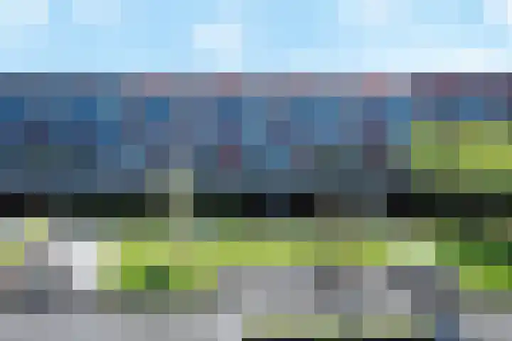 Baak van Herkingen 96 Amersfoort thumbnail 5