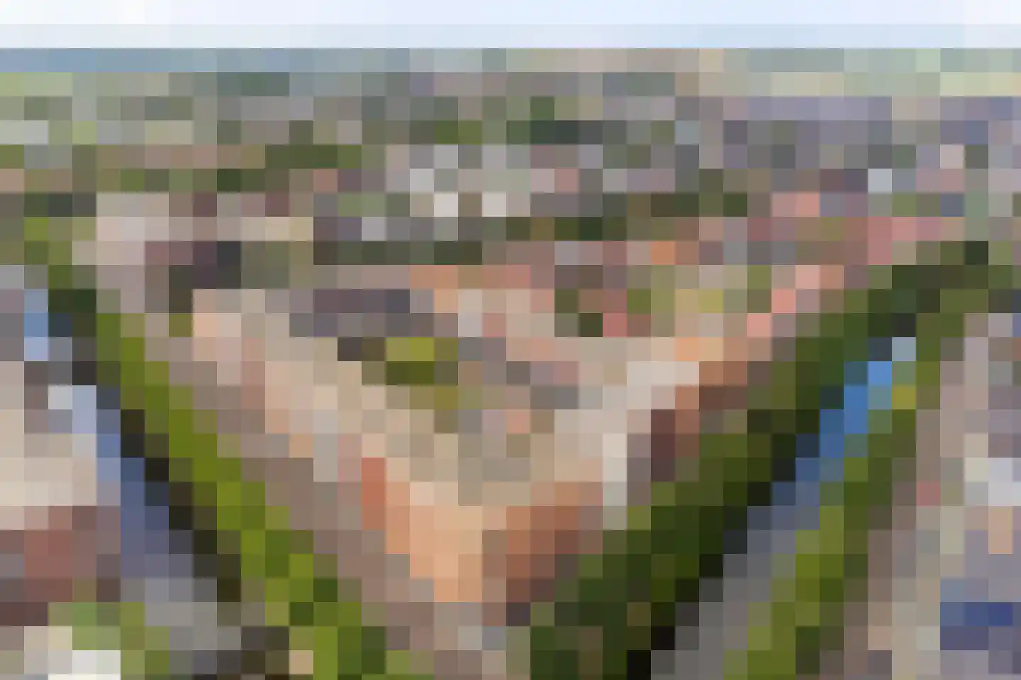 Baak van Herkingen 98 Amersfoort thumbnail 25