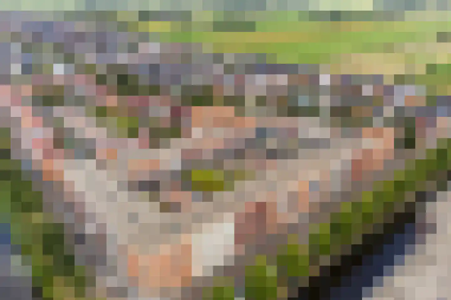 Baak van Herkingen 98 Amersfoort thumbnail 26