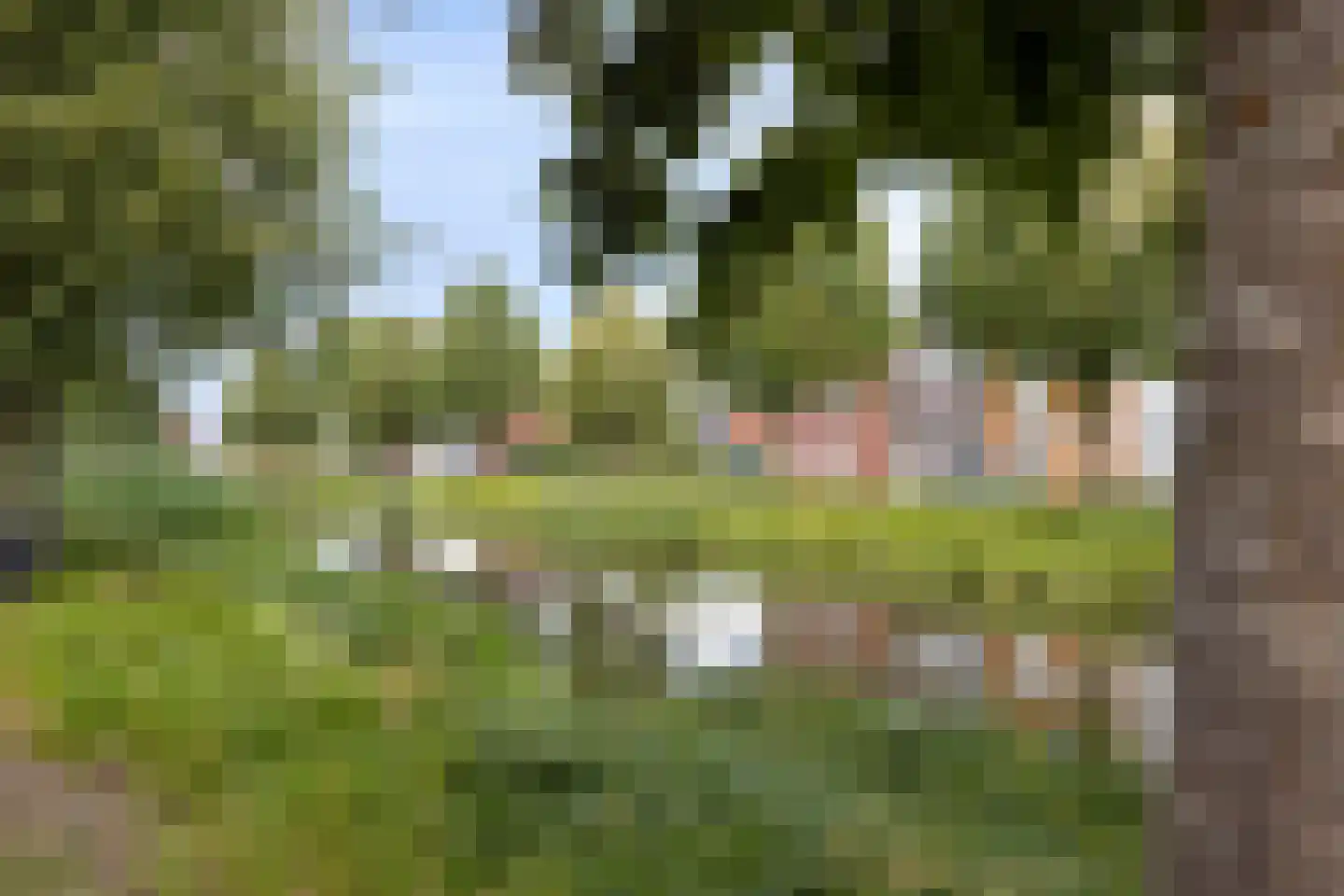 Baak van Herkingen 98 Amersfoort thumbnail 27
