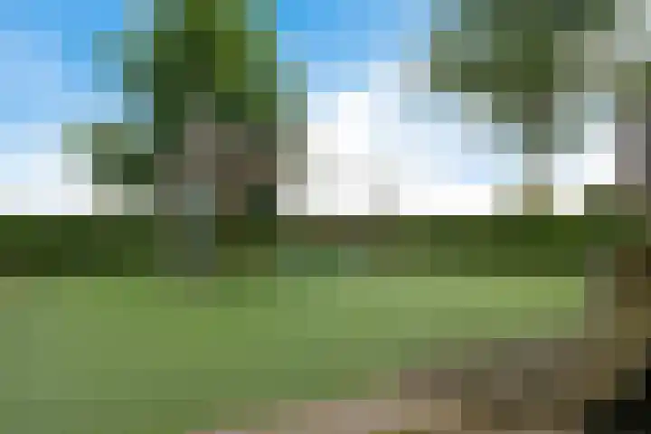 Baak van Katwijk 118 Amersfoort thumbnail 28