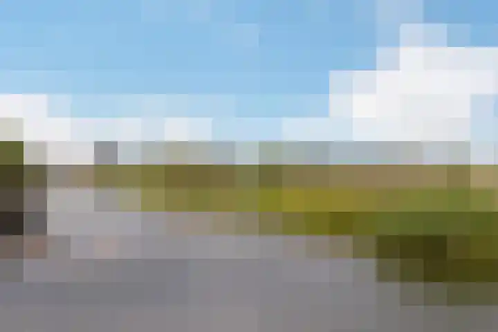 Baak van Katwijk 142 Amersfoort thumbnail 24