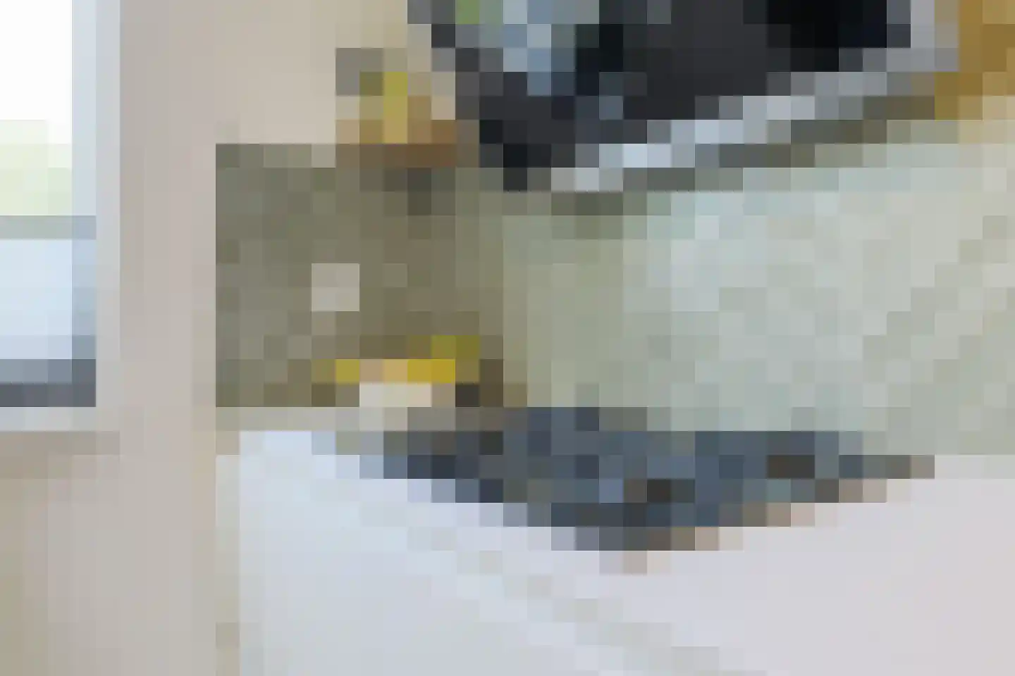 Baak van Kortgene 42 Amersfoort thumbnail 15