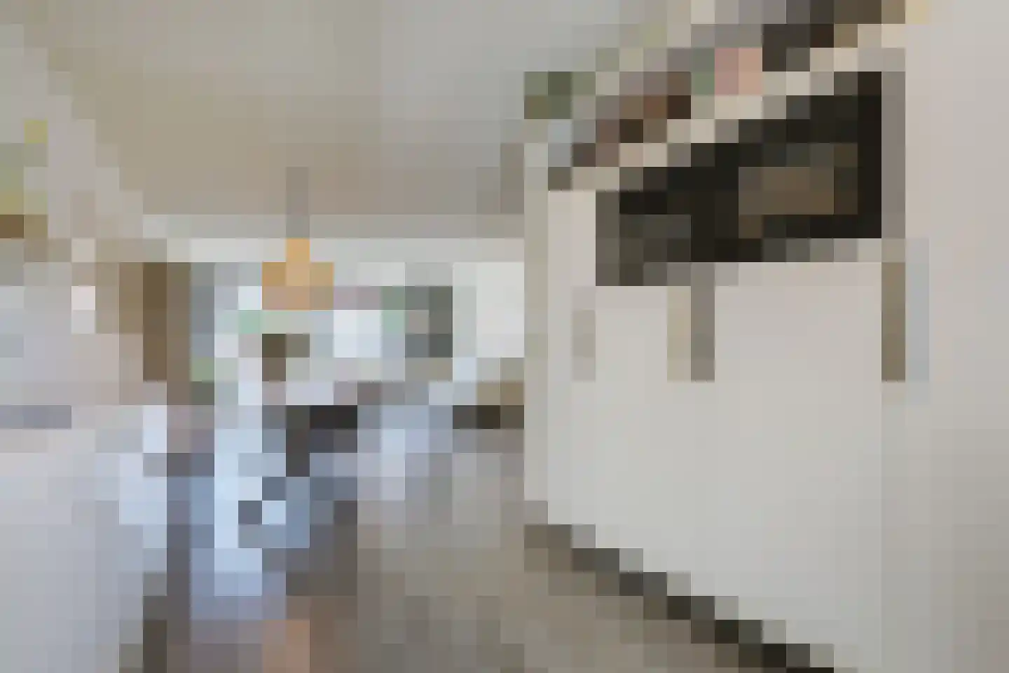 Baak van Kortgene 42 Amersfoort thumbnail 16