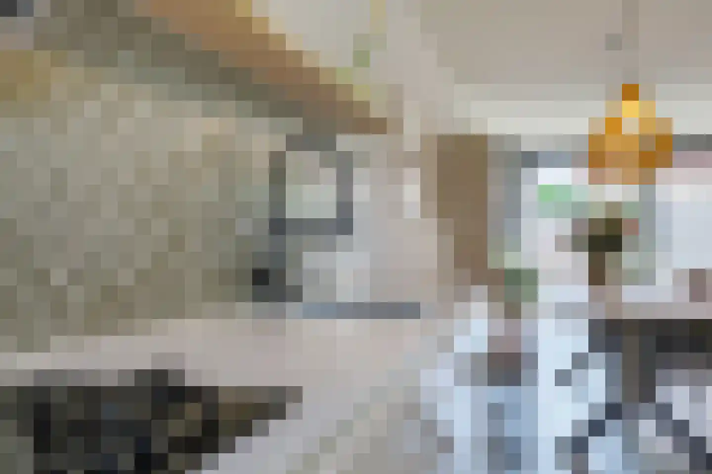 Baak van Kortgene 42 Amersfoort thumbnail 17