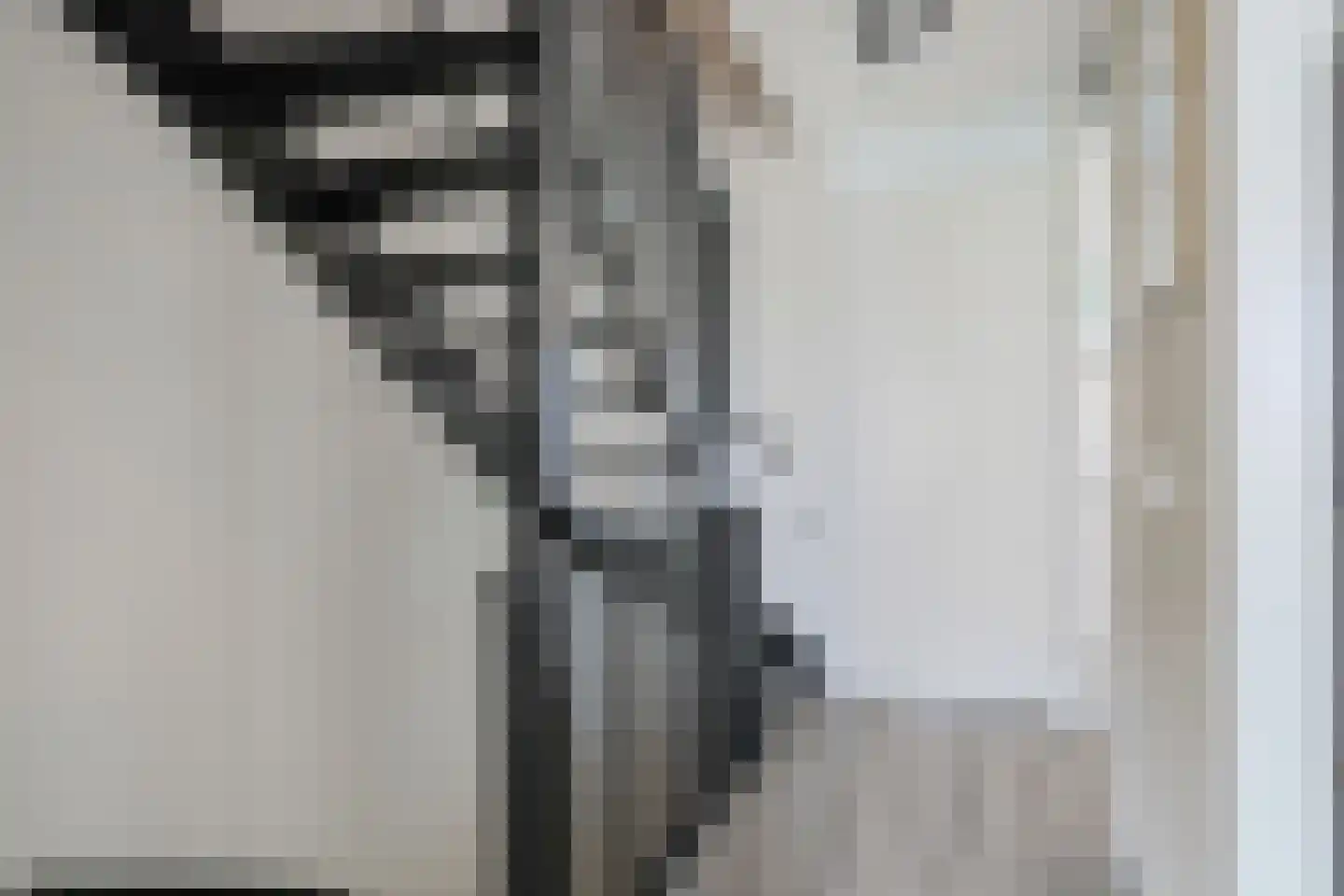 Baak van Kortgene 42 Amersfoort thumbnail 21
