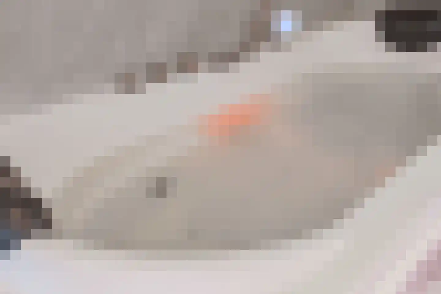 Baak van Kortgene 42 Amersfoort thumbnail 32
