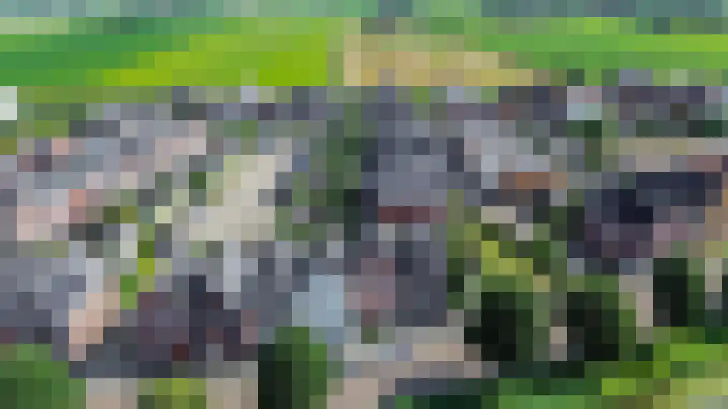Baak van Kortgene 42 Amersfoort thumbnail 45