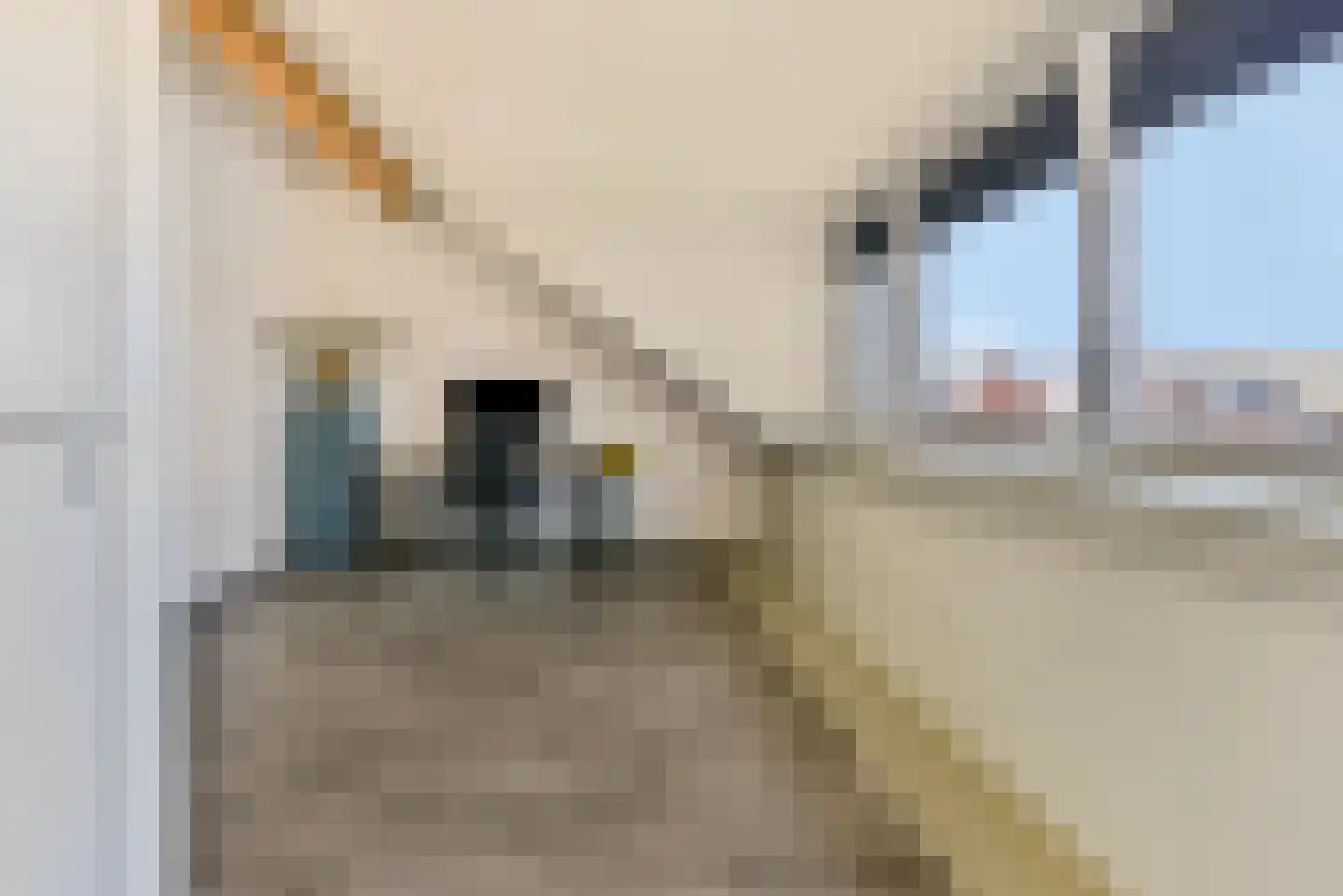 Baak van Ouddorp 18 Amersfoort thumbnail 28