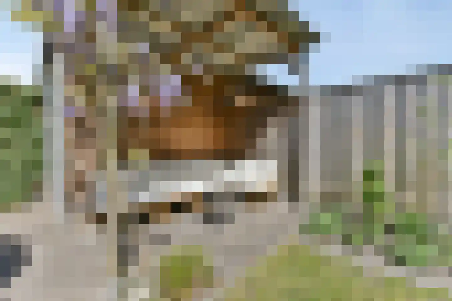 Baak van Ouddorp 18 Amersfoort thumbnail 34