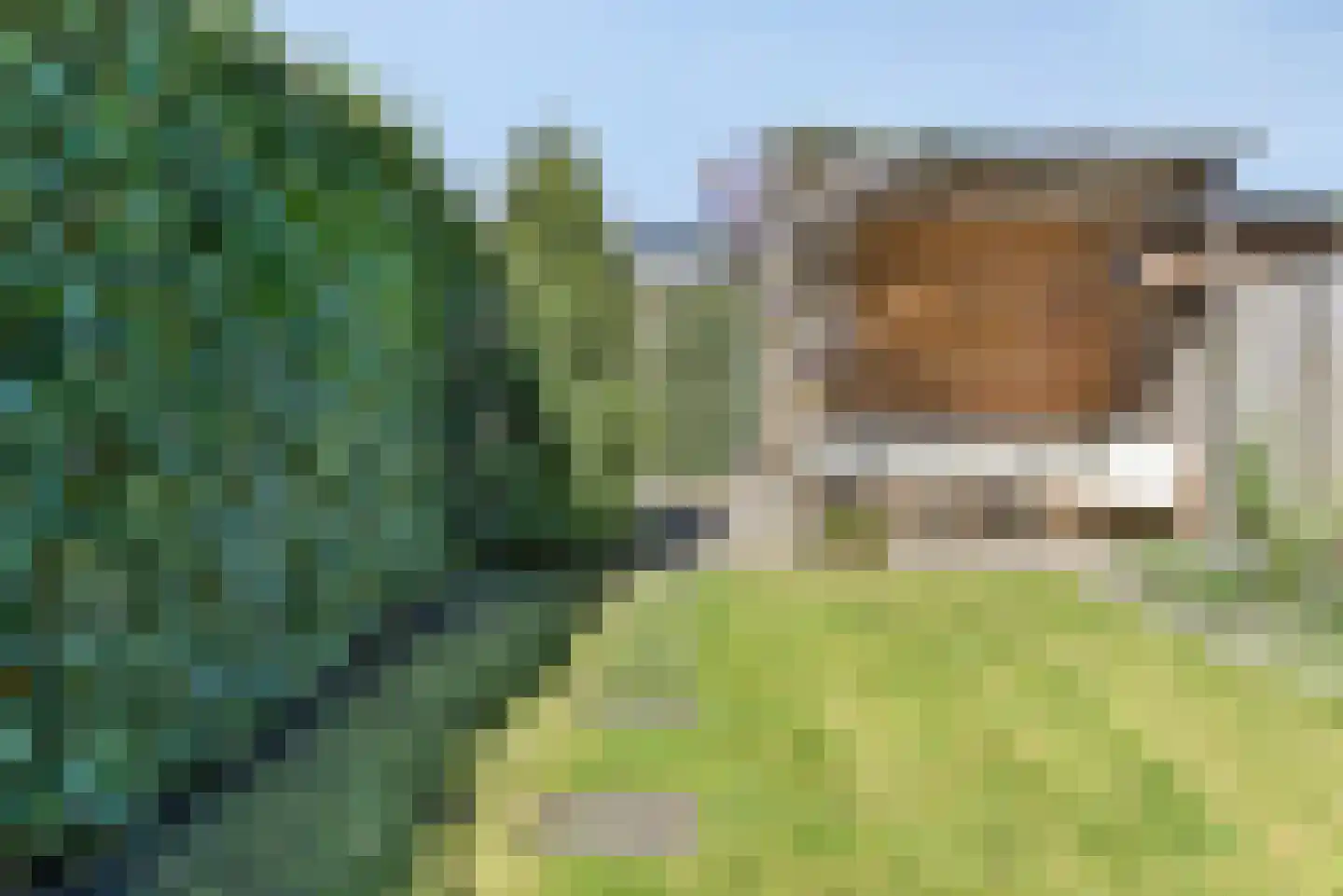 Baak van Ouddorp 18 Amersfoort thumbnail 35