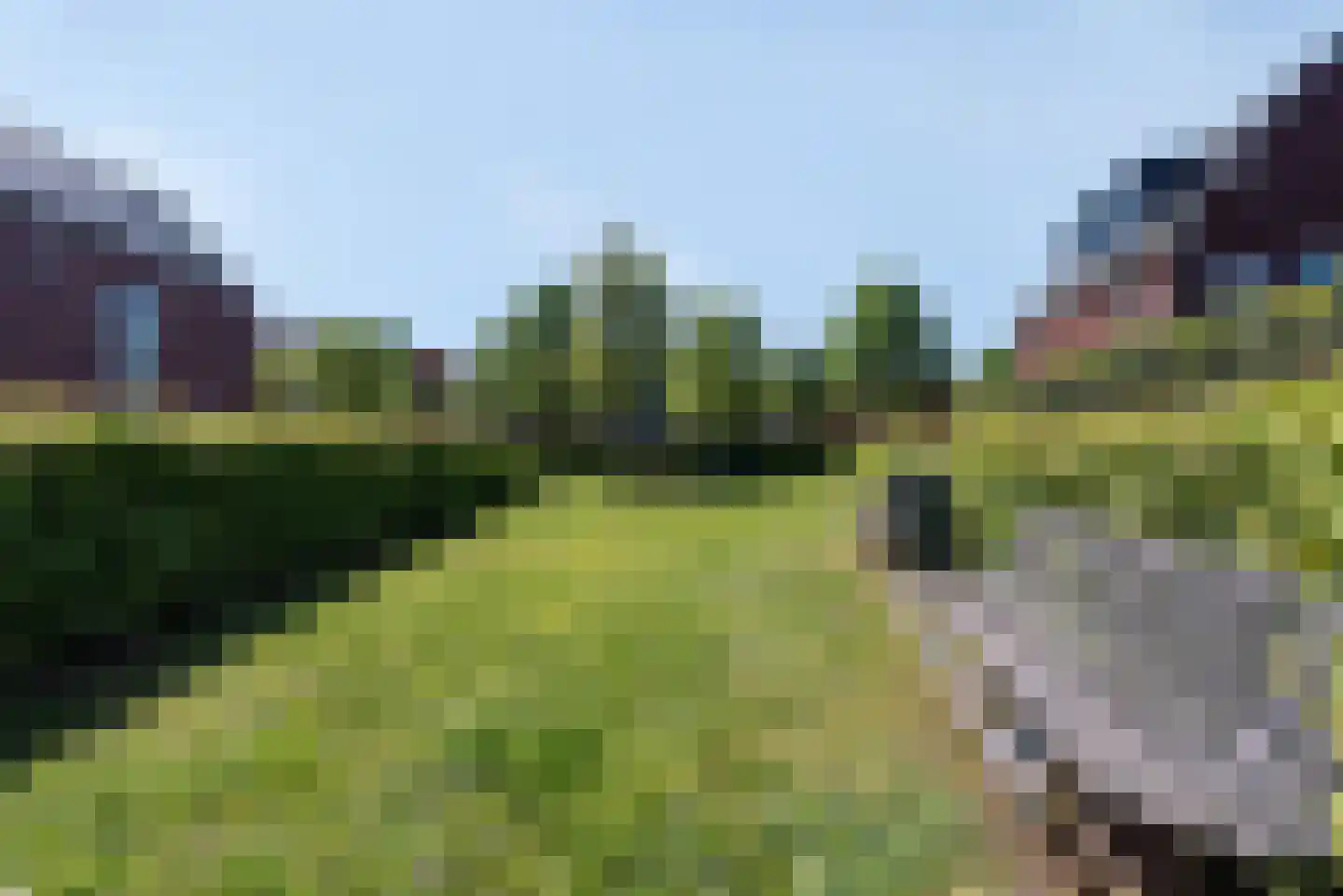 Baak van Ouddorp 18 Amersfoort thumbnail 8