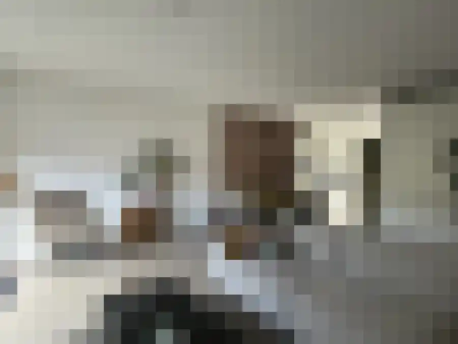 Baak van Ouddorp 20 Amersfoort thumbnail 4