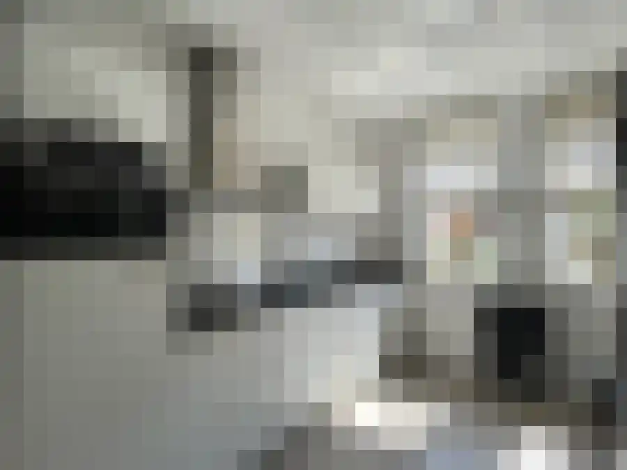 Baak van Ouddorp 20 Amersfoort thumbnail 6