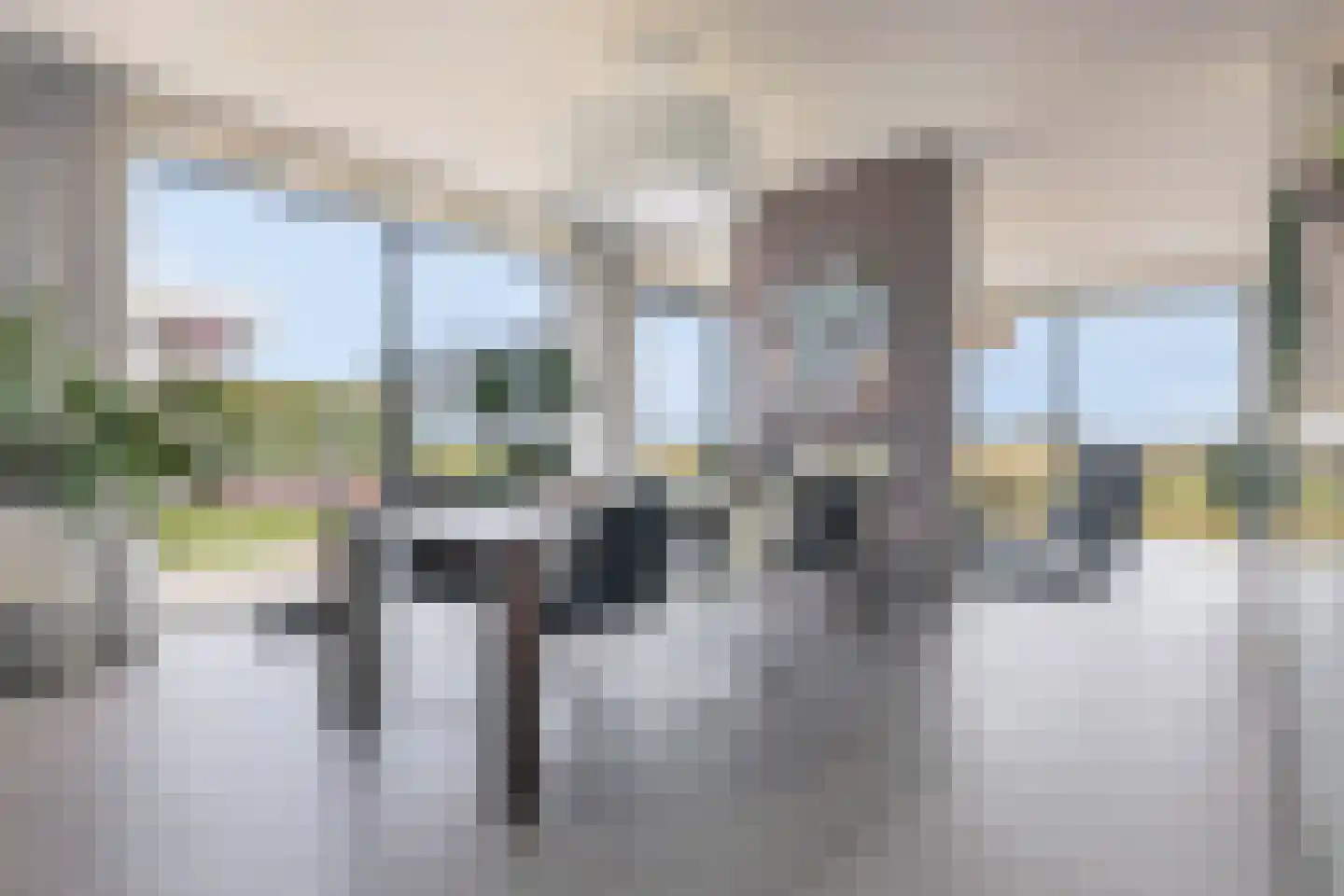 Baak van Petten 16 Amersfoort thumbnail 16