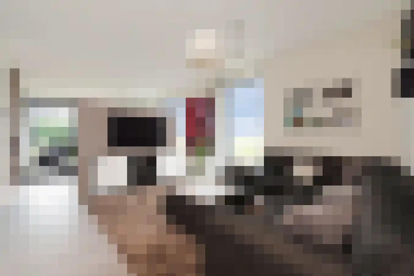 Baak van Petten 16 Amersfoort thumbnail 20