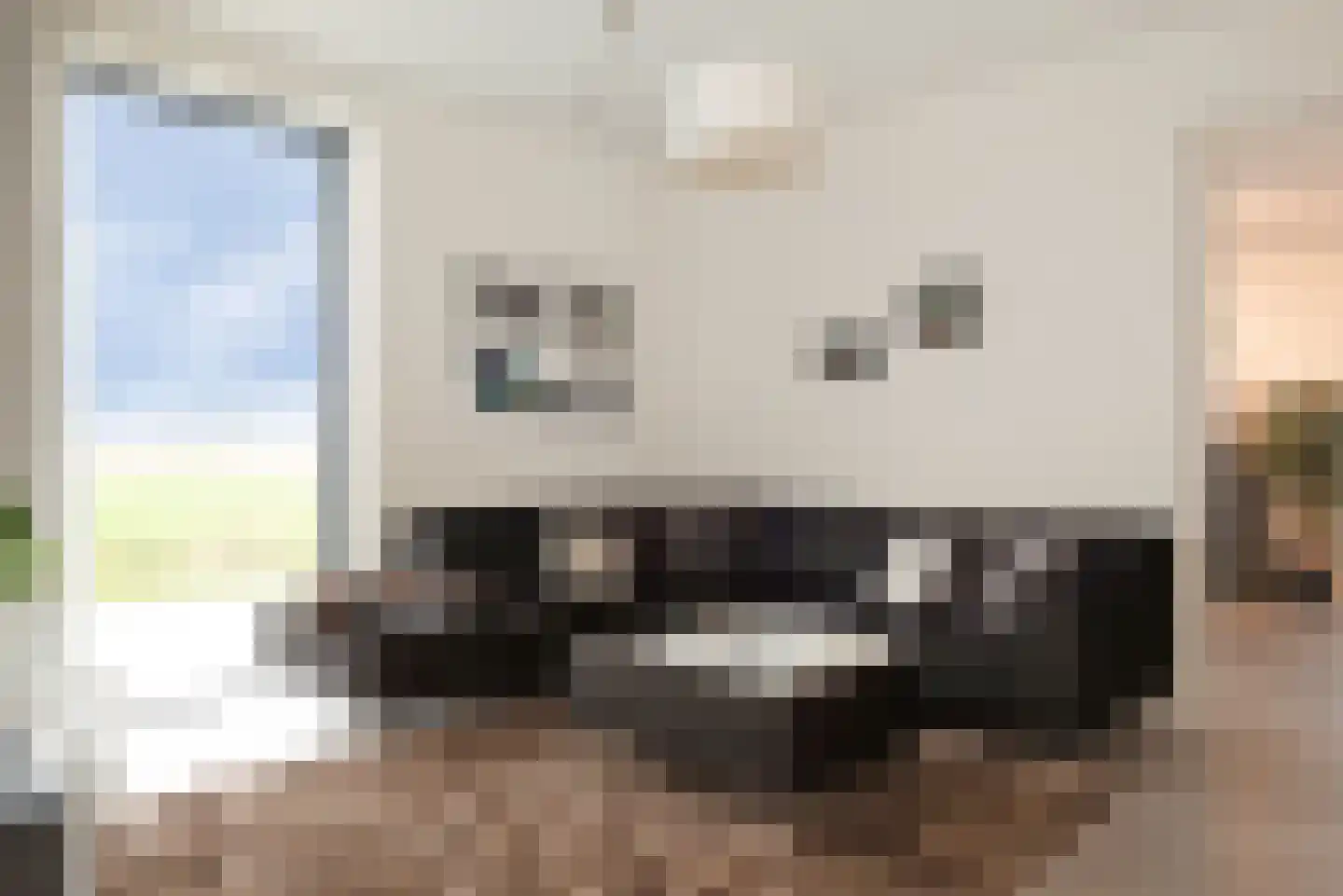 Baak van Petten 16 Amersfoort thumbnail 21