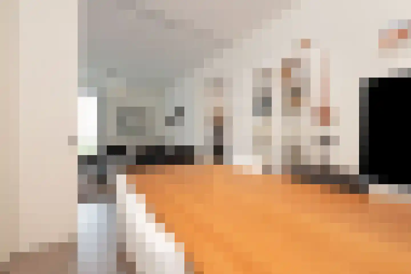 Baak van Petten 16 Amersfoort thumbnail 23
