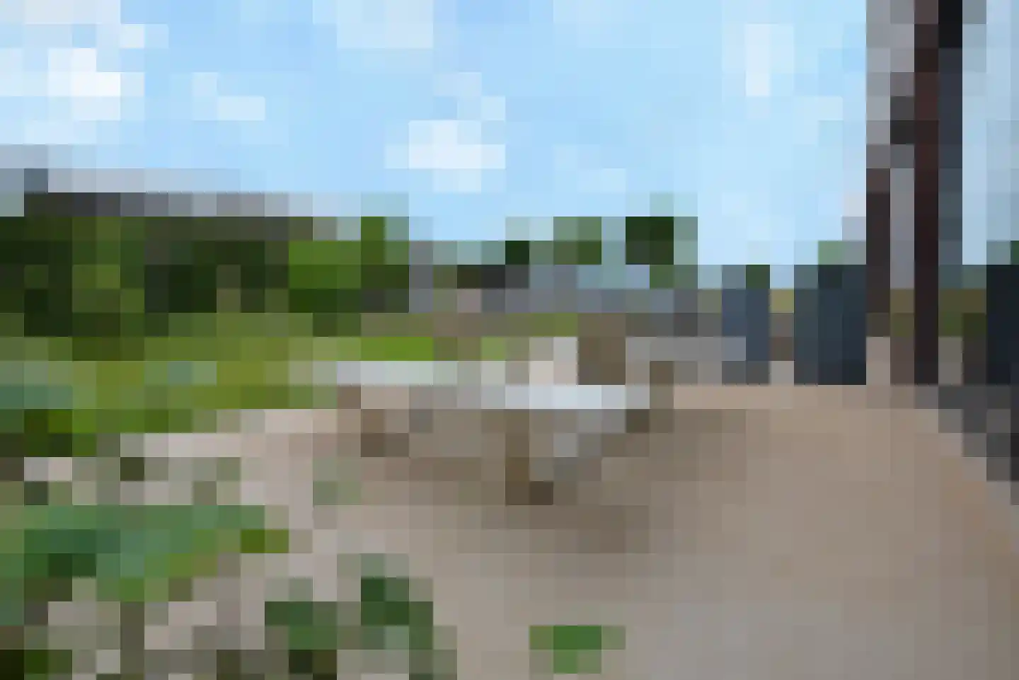 Baak van Petten 16 Amersfoort thumbnail 57