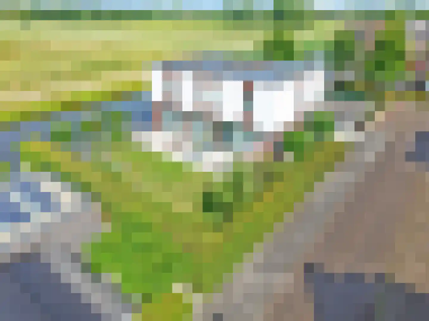Baak van Petten 16 Amersfoort thumbnail 62