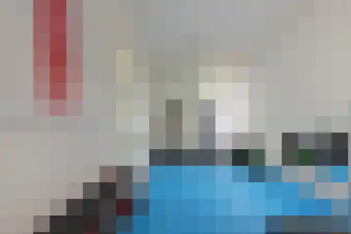 Baak van Petten 18 Amersfoort thumbnail 11