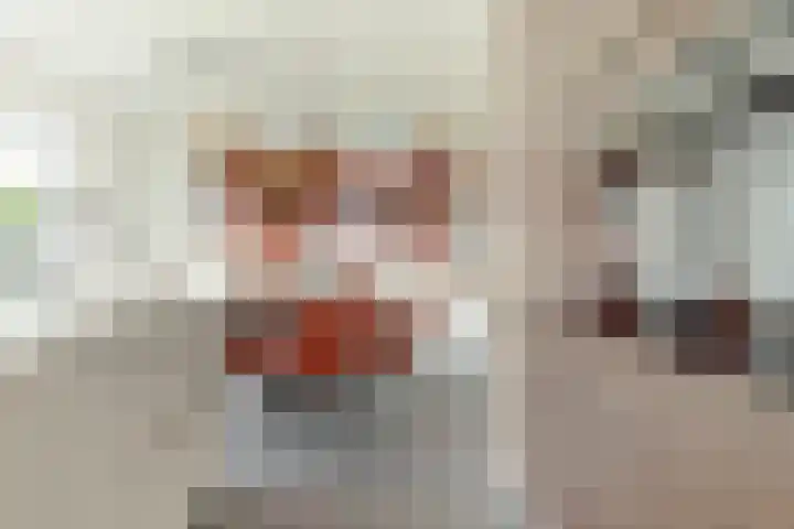 Baak van Petten 18 Amersfoort thumbnail 23