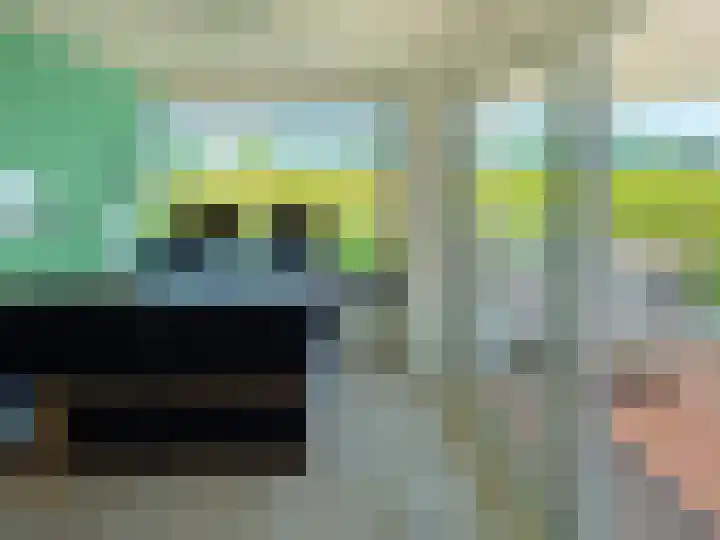 Baak van Petten 18 Amersfoort thumbnail 33