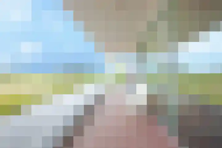 Baak van Petten 18 Amersfoort thumbnail 35