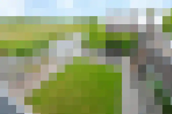 Baak van Petten 18 Amersfoort thumbnail 56