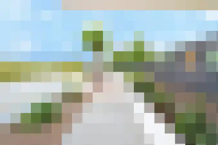 Baak van Petten 18 Amersfoort thumbnail 58
