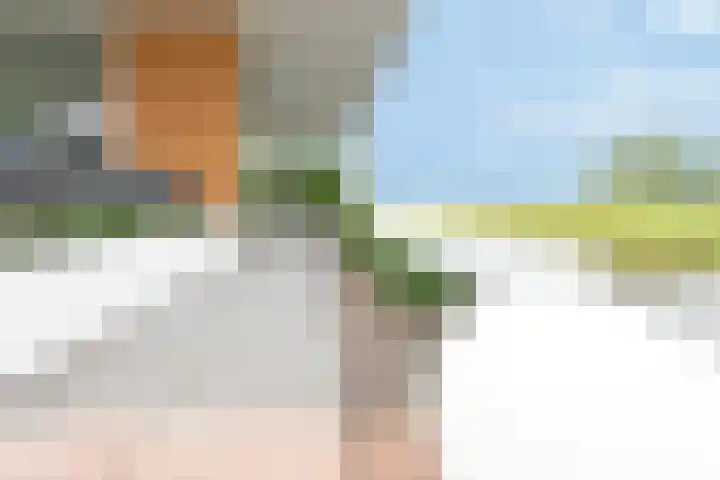 Baak van Petten 18 Amersfoort thumbnail 62