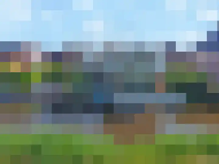 Baak van Petten 18 Amersfoort thumbnail 64