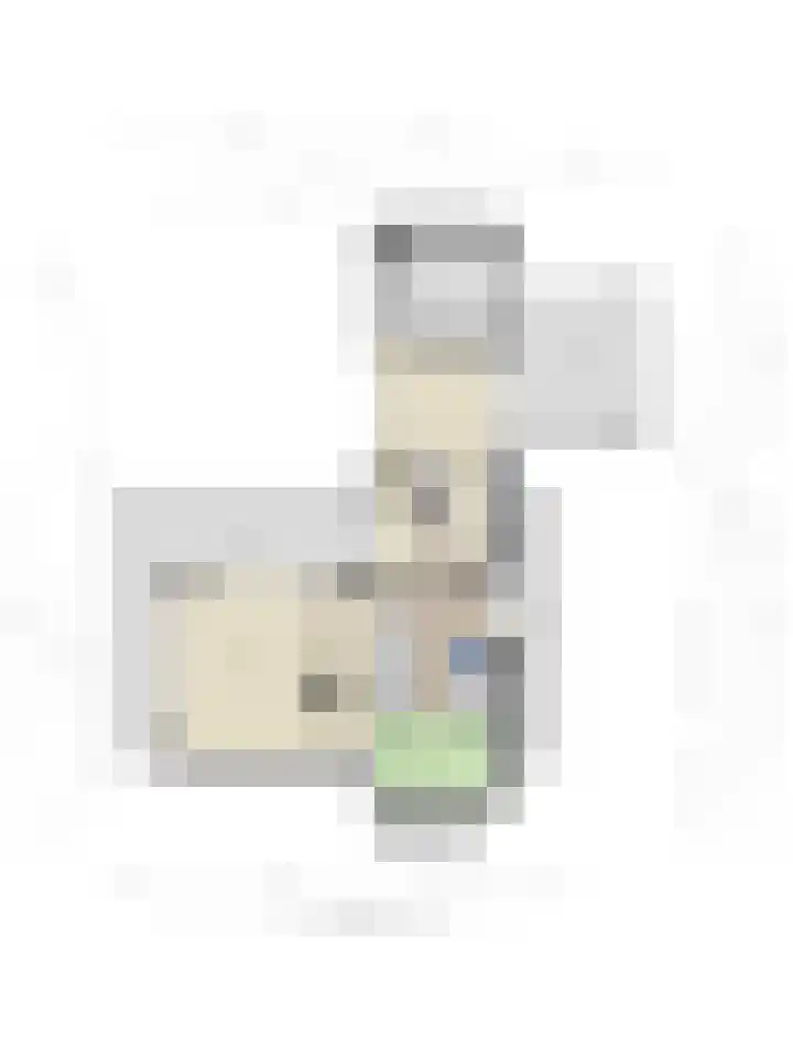 Baak van Petten 18 Amersfoort thumbnail 69