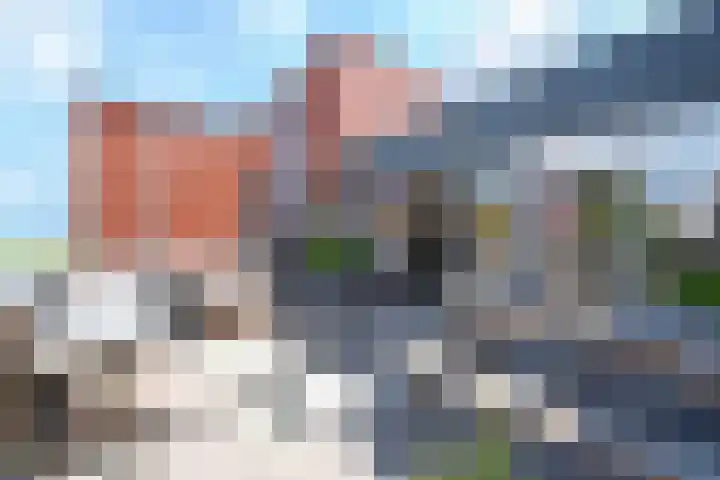 Baak van Petten 40 Amersfoort thumbnail 14