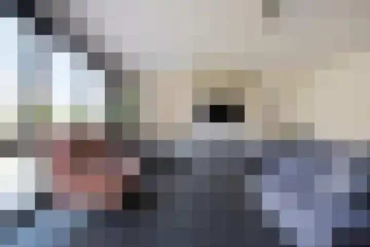 Baak van Petten 40 Amersfoort thumbnail 16