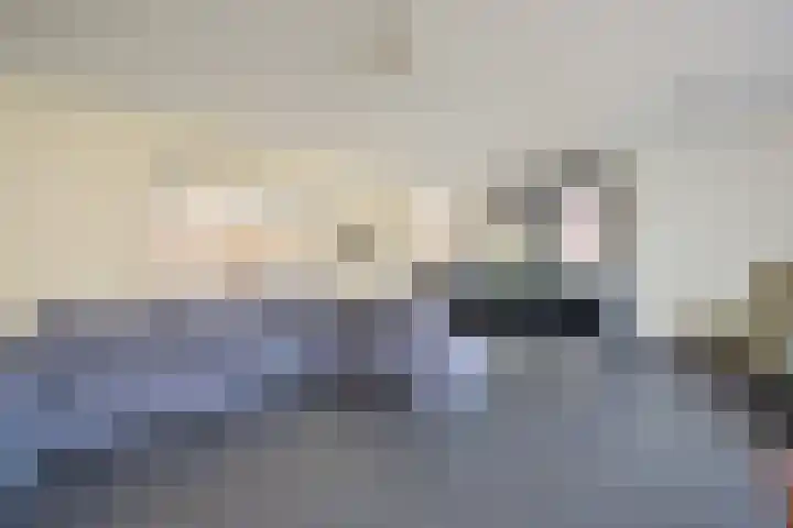 Baak van Petten 40 Amersfoort thumbnail 17