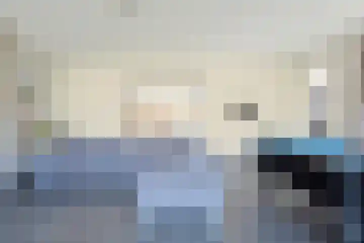 Baak van Petten 40 Amersfoort thumbnail 19