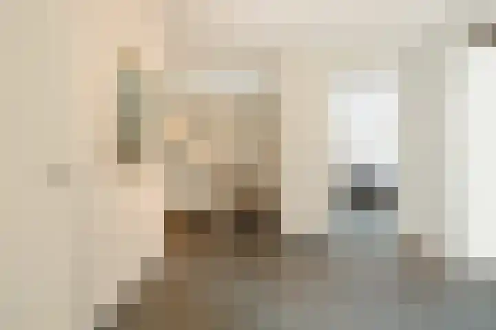 Baak van Petten 40 Amersfoort thumbnail 20