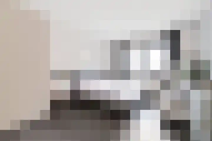 Baak van Petten 40 Amersfoort thumbnail 22