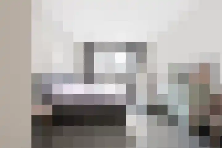 Baak van Petten 40 Amersfoort thumbnail 23