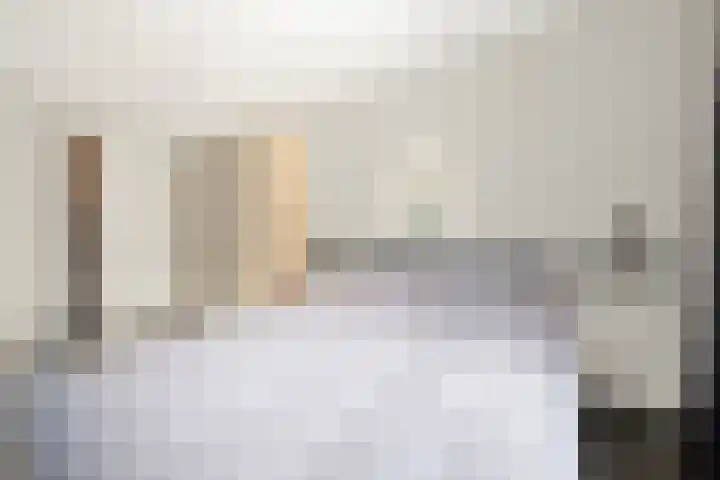 Baak van Petten 40 Amersfoort thumbnail 24