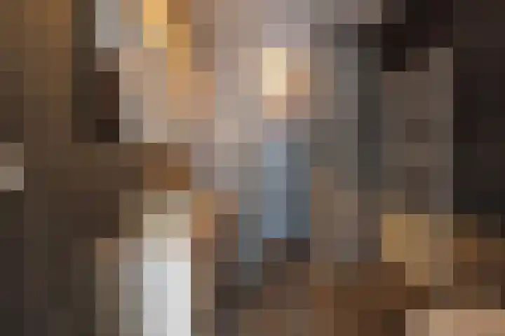 Baak van Petten 40 Amersfoort thumbnail 25