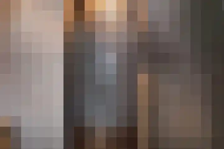 Baak van Petten 40 Amersfoort thumbnail 26