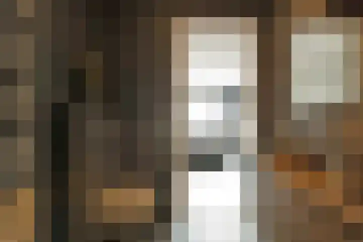 Baak van Petten 40 Amersfoort thumbnail 27