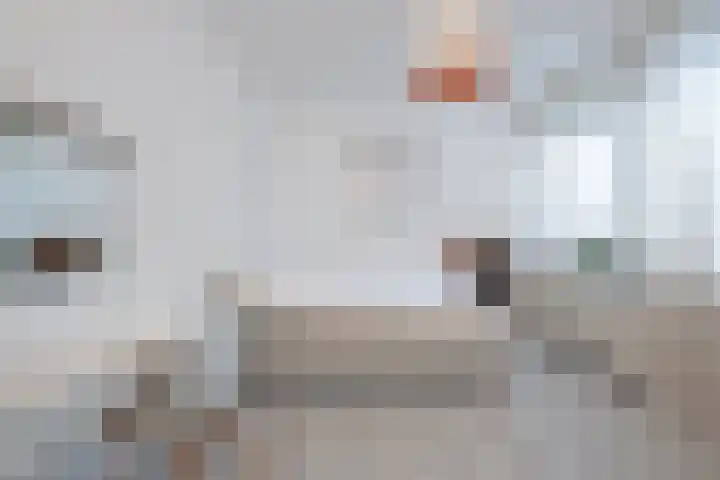 Baak van Petten 40 Amersfoort thumbnail 29