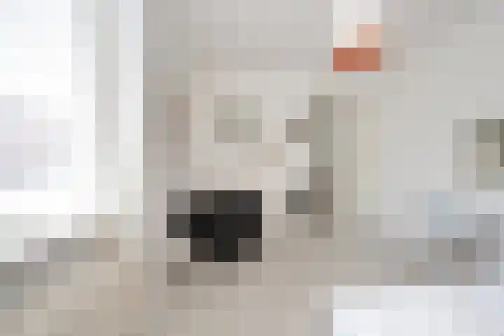 Baak van Petten 40 Amersfoort thumbnail 31