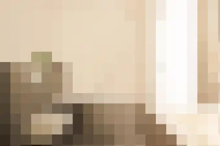 Baak van Petten 40 Amersfoort thumbnail 36